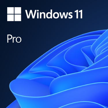 Microsoft Windows 11 Pro KW