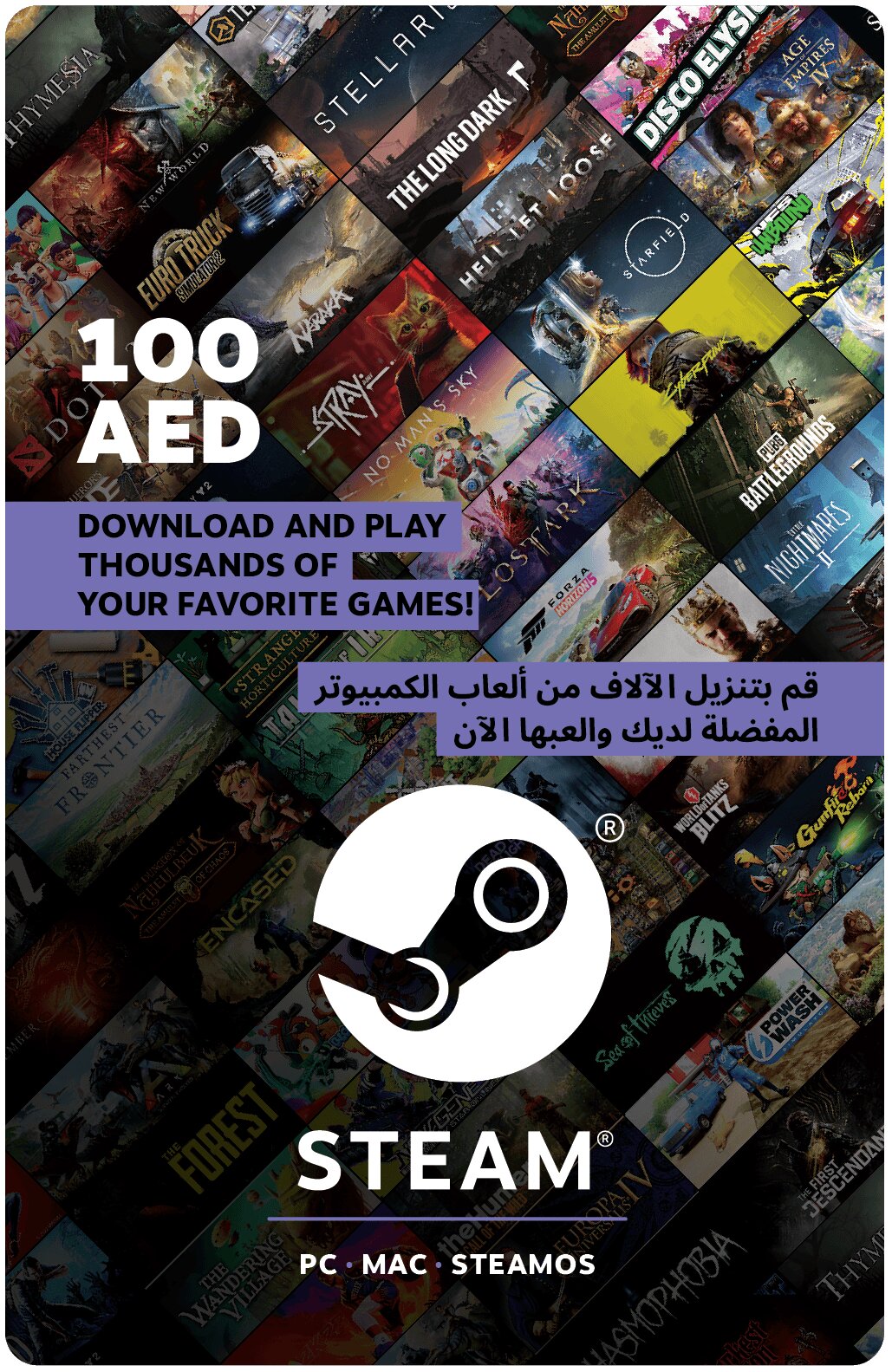Wallet Card 100 AED