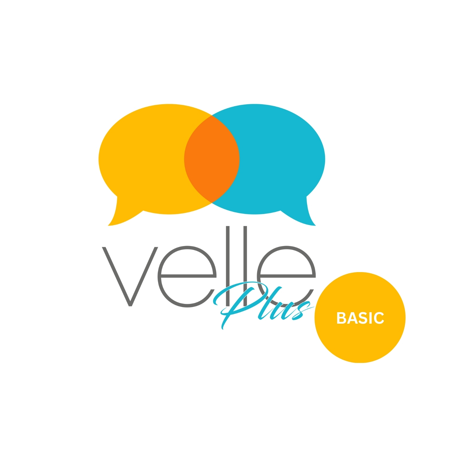 Basic Velle 1 learner 1 Term Grade 8-12 Family pack