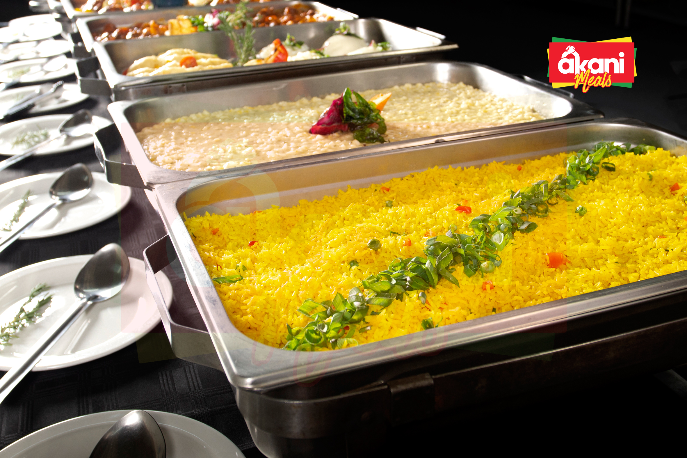 catering Pkg 1, 100 Plates, Family Plan (1+9)