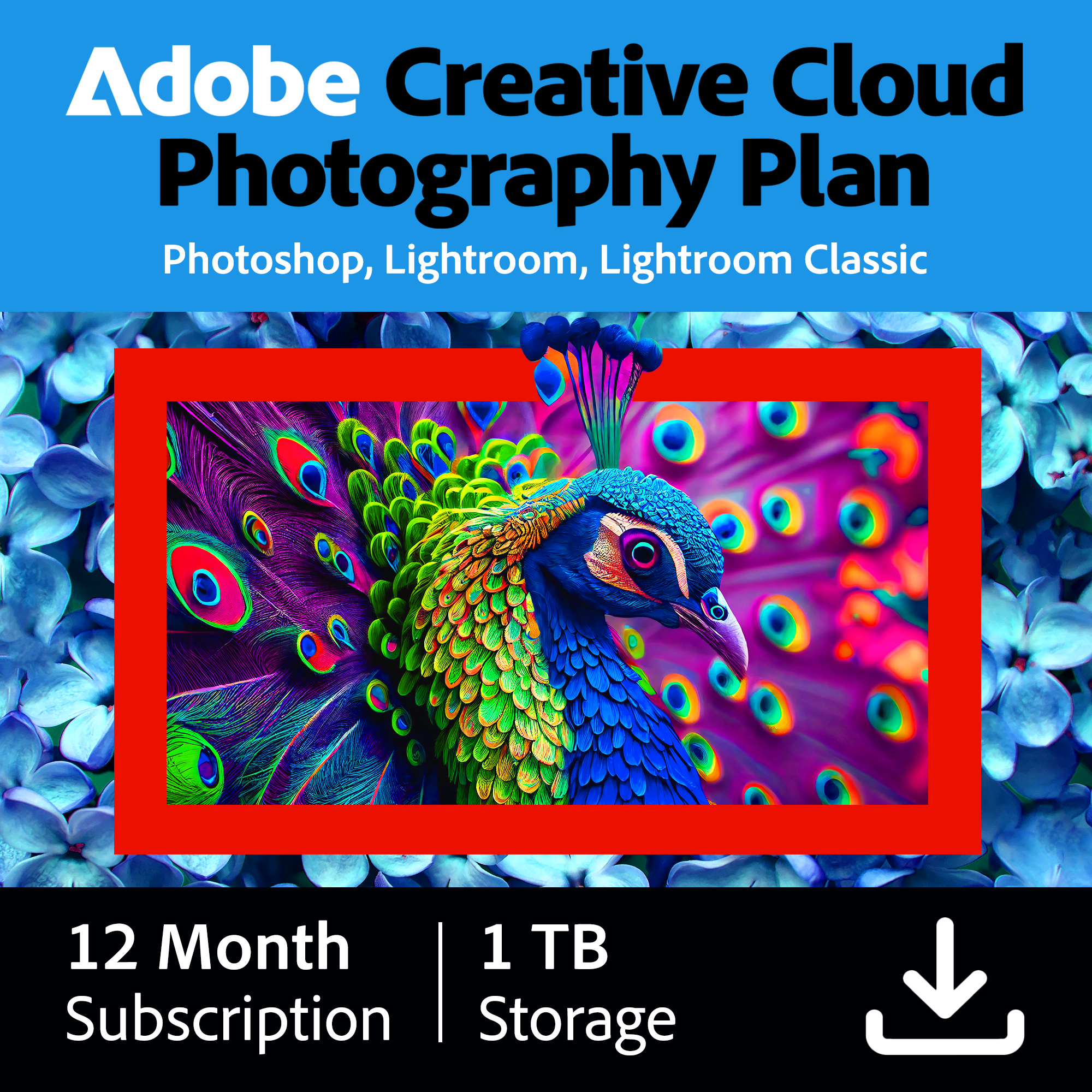 Adobe Creative Cloud Photography plan 1TB 1Y Sub ESD ZA